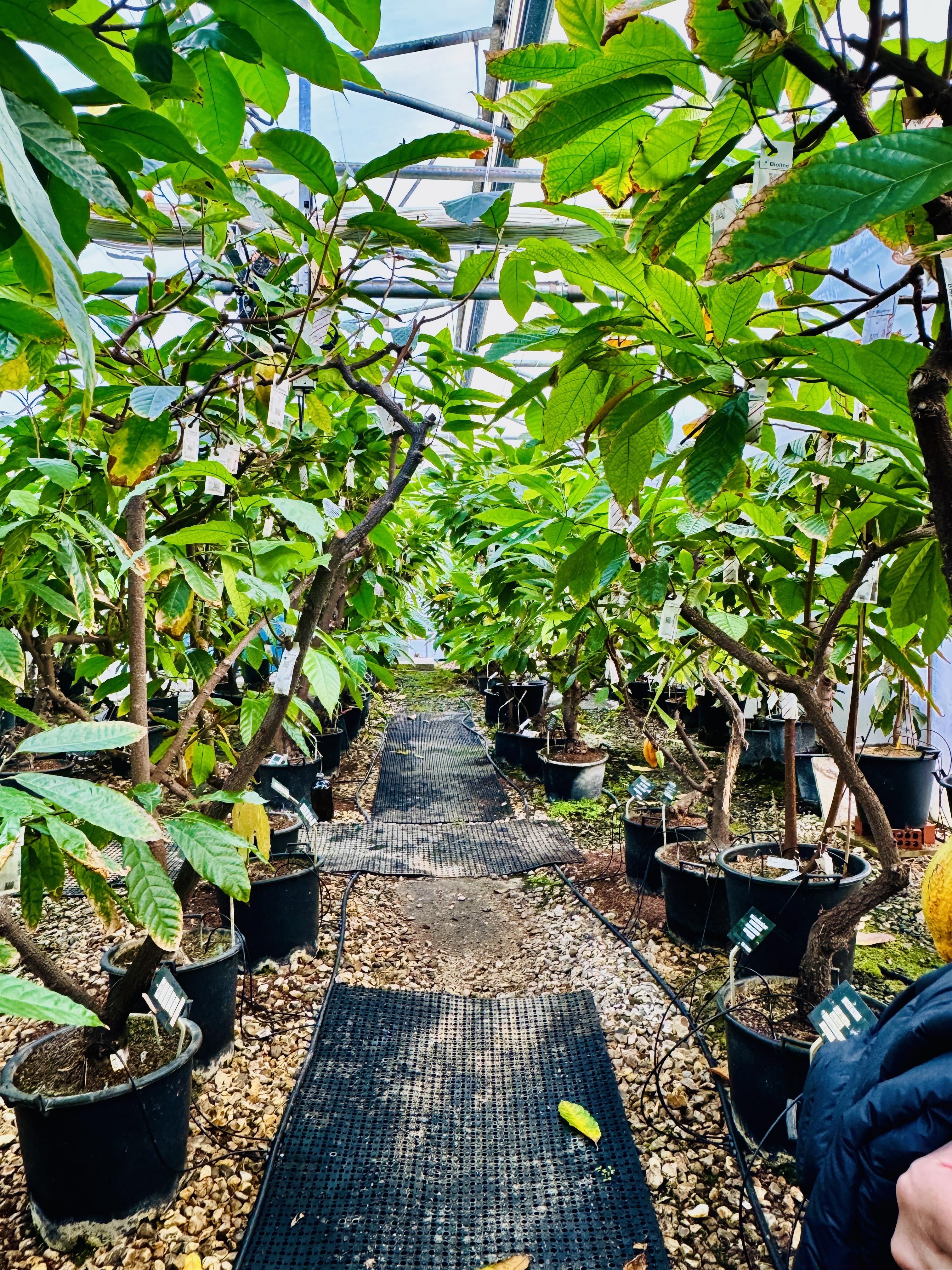 inside quarantine centre